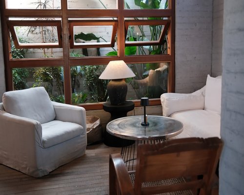 Natural sunlight illuminating a cozy indoor reading space